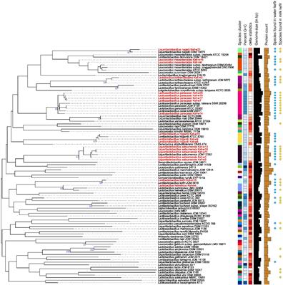 Potential Probiotic Strains From Milk and Water Kefir Grains in Singapore—Use for Defense Against Enteric Bacterial Pathogens